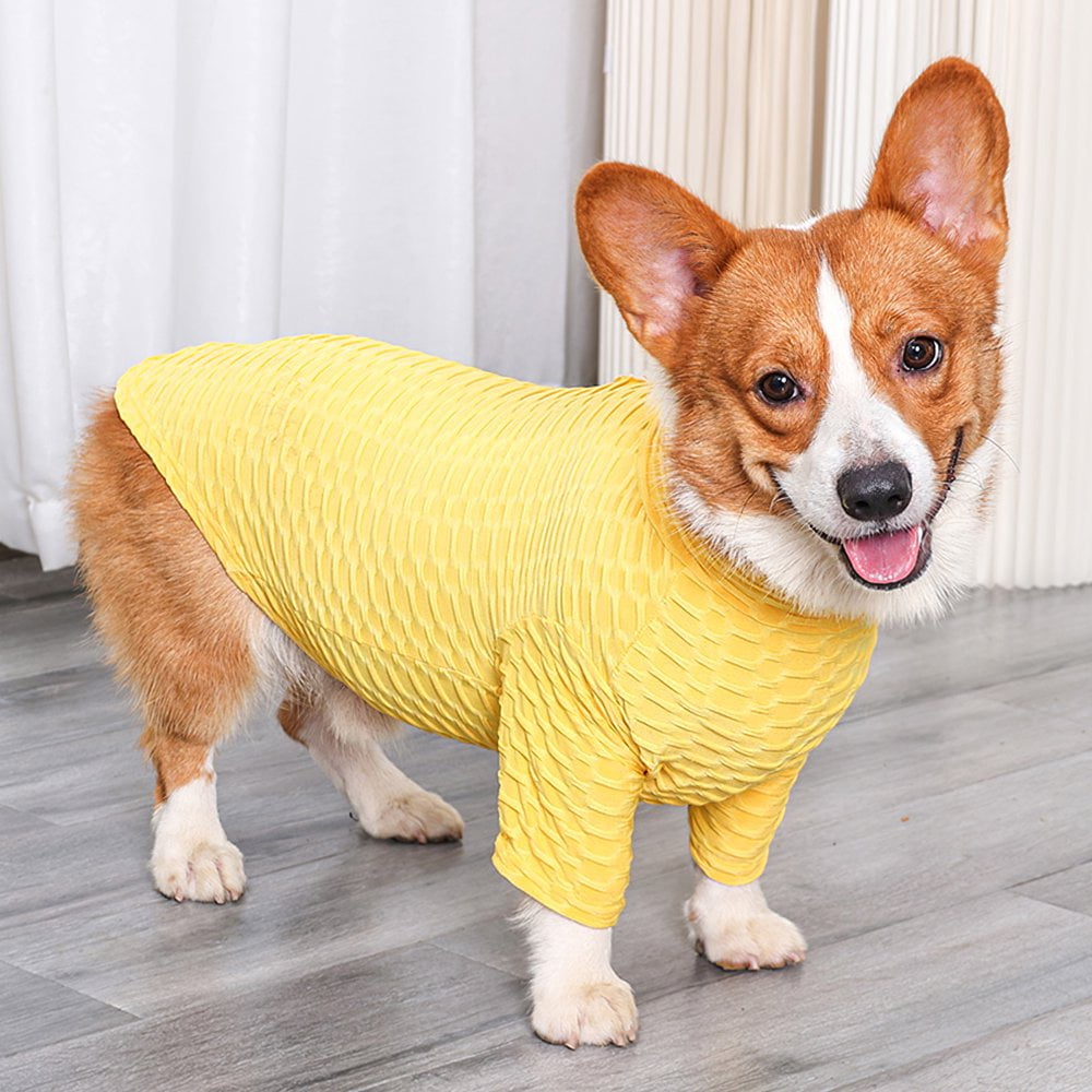 Pet Autumn Winter Turtleneck Bottoming Shirt Slim High Elasticity Dog Stretch Slim Bottoming Shirt Dog Stretchy Warm Clothes with Double High Collar