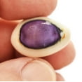 thumbnail image 4 of Set of 50 Select Purple Top Money Cowrie Shells Seashells 1/2-1" Shellcraft Cypraea Moneta Crafts - Not Drilled, 4 of 4