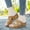 Brown, variant on cllios Sandals Women Arch Support Slipper Dressy Summer Slip On Sandals Comfortable Wide Width Sandal for Wedding Guest