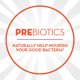 Align Prebiotic Probiotic Supplement Gummies, Natural Flavors, 60 Ct - image 8 of 10