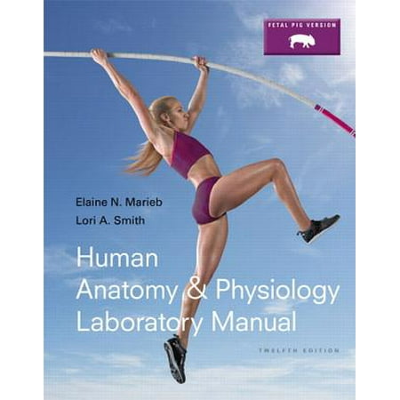 Human Anatomy Amp Physiology Laboratory Manual Fetal Pig