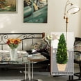 thumbnail image 7 of BOXWOOD WORLD Preserved Boxwood Cone Topiary in Planter Home Decor Farmstyle Natural Green Indoor Decor, 7 of 7
