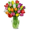 From You Flowers - Rainbow Tulip Bouquet - 20 Stems with Glass Vase (Fresh Flowers) Birthday, Anniversary, Get Well, Sympathy, Congratulations, Thank You