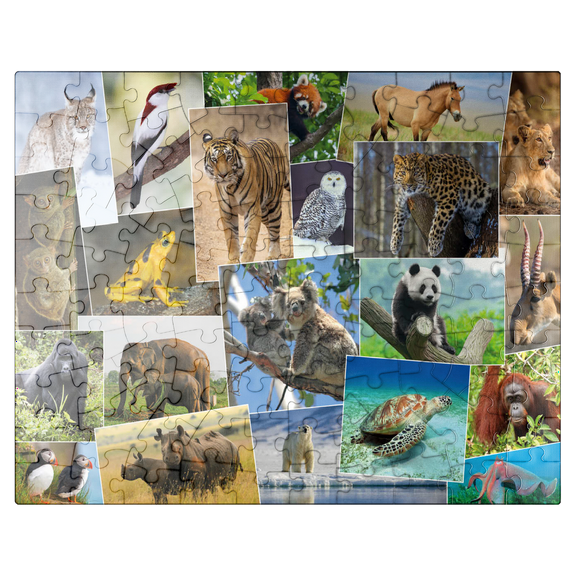 MyPuzzle - Endangered Species Collage - Premium 100 Piece Jigsaw Puzzle for Adults