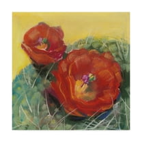 Trademark Fine Art 'Blooming Succulent I' Canvas Art by Carol Rowan