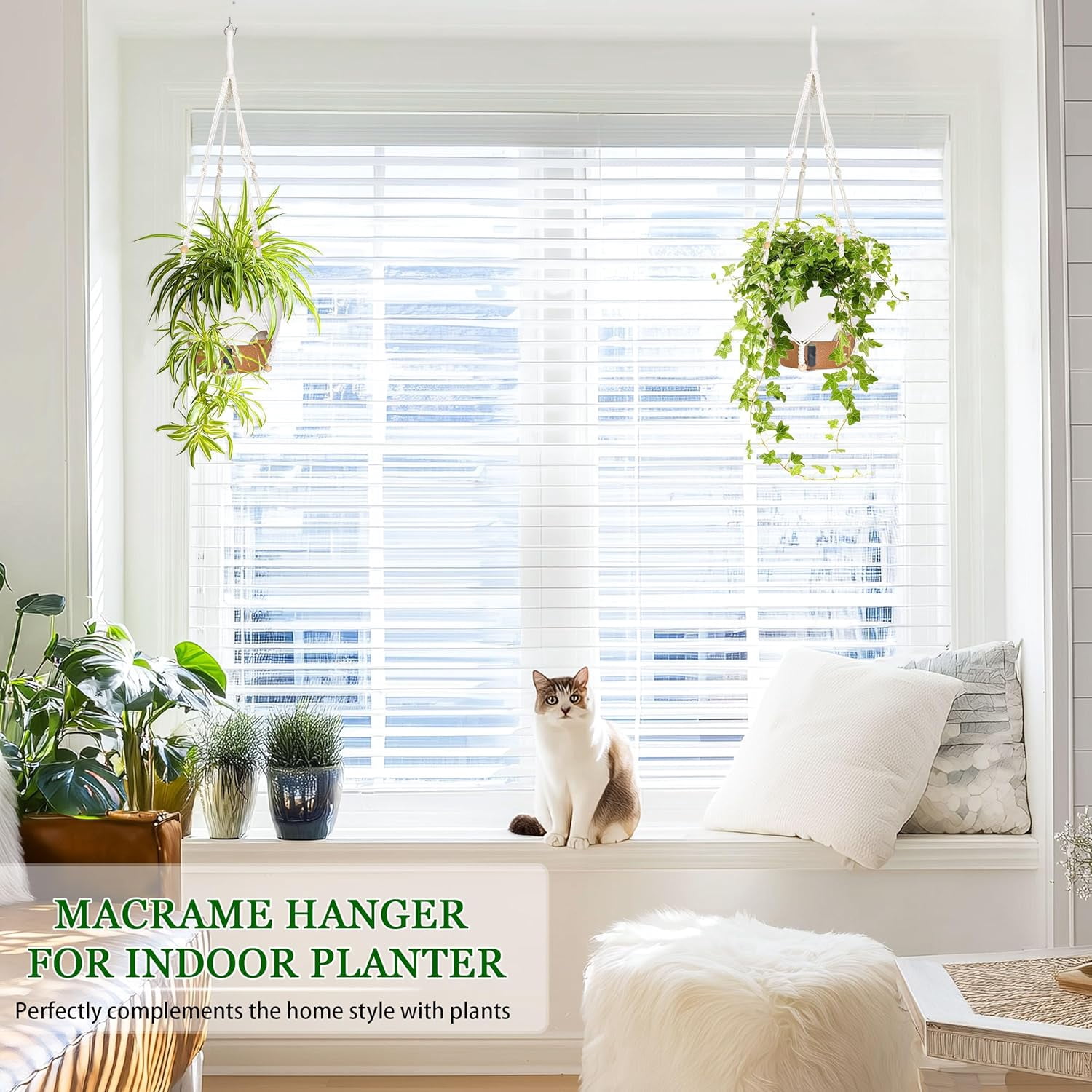 10 Inch for Indoor Plants, 2 Pack Self Watering Hanging Baskets Flower Pots with Drainage Hole, Visual Reservoir & 2 Kinds of Plant Hanger for Outdoor Garden Home Decor (White)