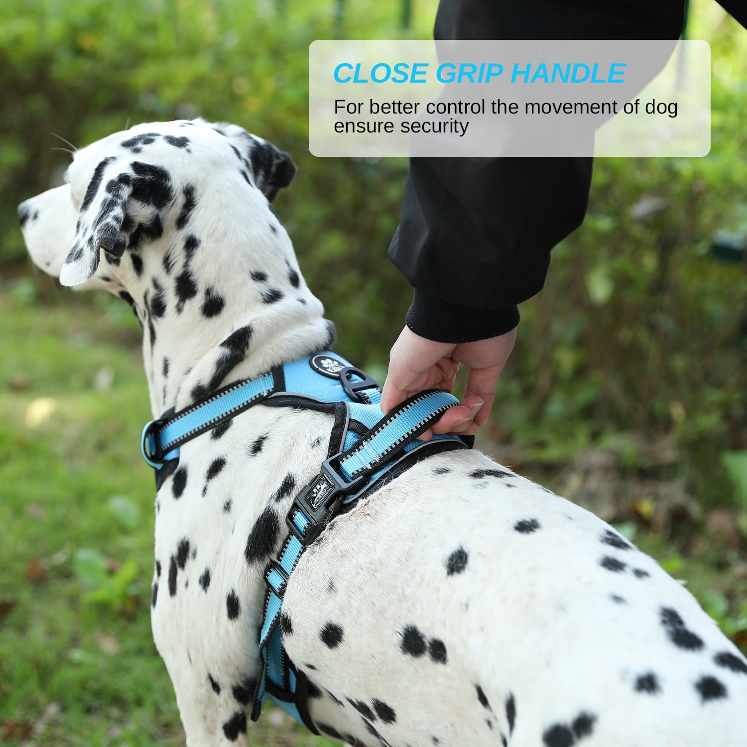 Hidpriva No Pull Dog Harness Leash Set , Reflective Dog Vest with Easy Control Handle, Adjustable Pet Harness for Large Dogs, Blue, L