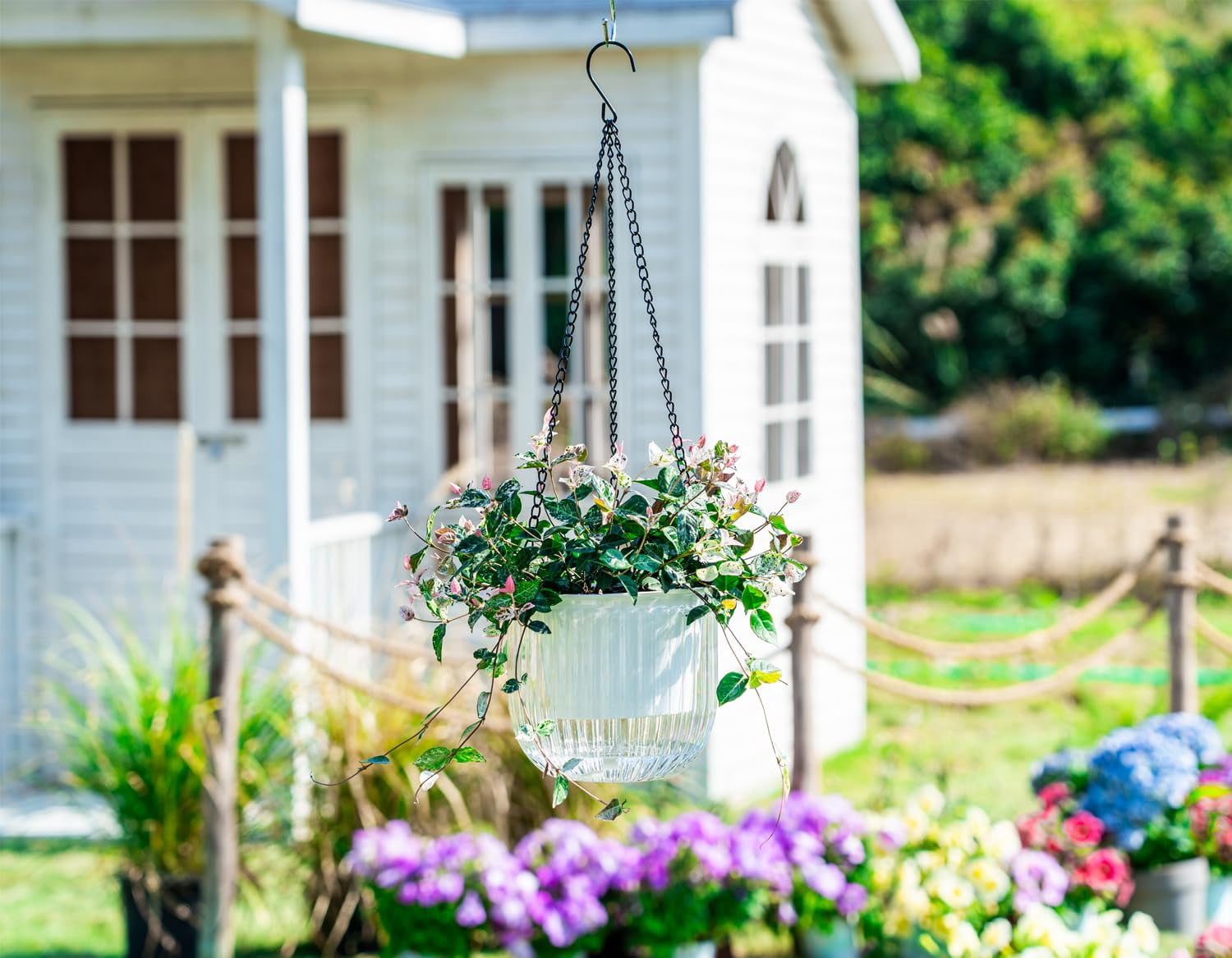 2 Pack Self Watering Hanging Planters 6.5 Inch Indoor Outdoor Flower Pots with Drainage Holes and Hooks for Garden Home Decor