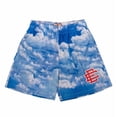 thumbnail image 1 of New Eric Emanuel Ee Basic Shorts New York City Skyline-sebneei, 1 of 4