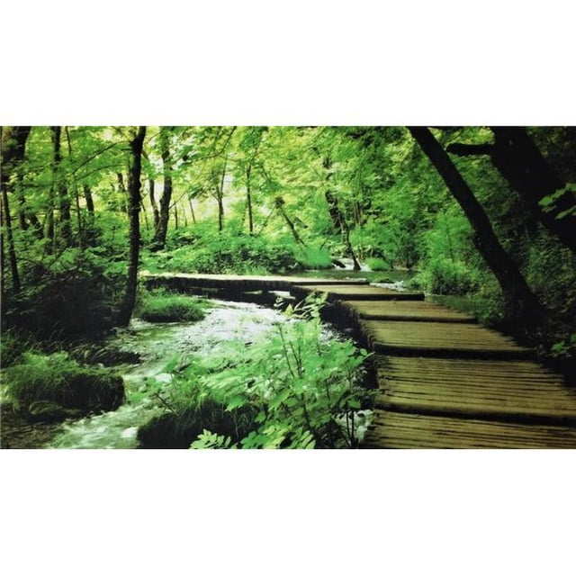 Custom Printed Rugs DM 70 River Walk Non Slip Indoor Door Mat, 27 x 18 in.