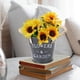 thumbnail image 1 of CREATITOY Vintage Iron Flower Pot Bucket Garden Patio Container, 1 of 6