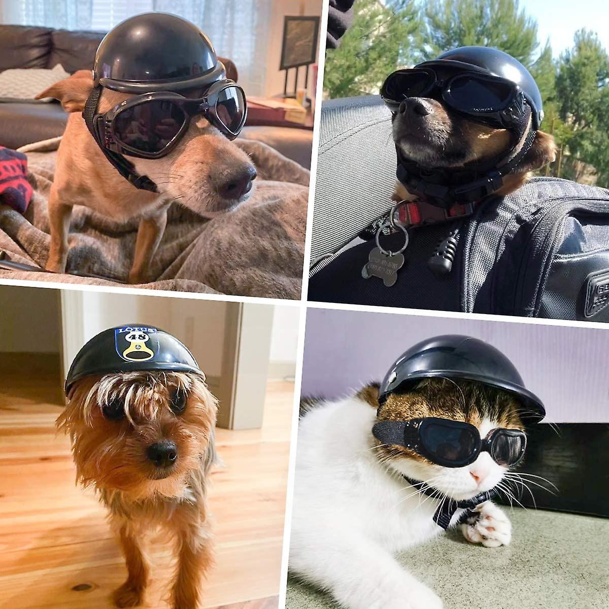 Dog bike helmet and goggles online