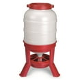 thumbnail image 1 of Little Giant Mangeoire pour Poulet de Capacité de 60 Lb, Distributeur Dôme pour Volaille et Réservoir de Contenant, Rouge, 1 of 6