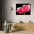 thumbnail image 3 of Tammy Putman 24x17 Gallery Wrapped Canvas Wall Art Titled - Pink Peony III, 3 of 4