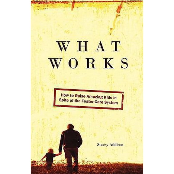 Pre-Owned What Works: How to Raise Amazing Kids in Spite of the Foster Care System (Paperback) 0984329005 9780984329007