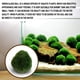 thumbnail image 3 of Bolas de musgo de algas verdes, simulación de acuario artificial, adorno de algas de paisaje para decoración de peceras, 3 piezas pequeñas Sailing  Electrónica, 3 of 5