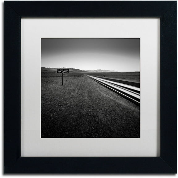 Trademark Fine Art "Low" Canvas Art by Dave MacVicar, White Matte, Black Frame