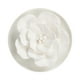 thumbnail image 4 of Difusor de aceites esenciales sin fuego, adorno de regalo, difusor de aroma floral para Estilo G, 4 of 9