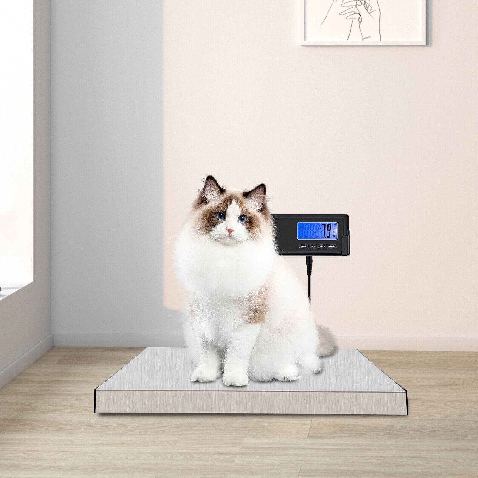 LB/OZ/KG LCD Screen Physician Scale, Low-Profile Doctor Scale with Anti-Slip Rubber Mat 0.05kg/0.1 lbs Accuracy