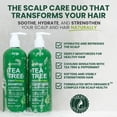 thumbnail image 2 of KESMEDIK Tea Tree Oil Shampoo and Conditioner MaxTherapy Set, Itchy Scalp Relief, Refreshes & Cleanses Dandruff & Buildup, Clarifying for Oily Hair, Women & Men, 16 fl oz Each, 2 of 7