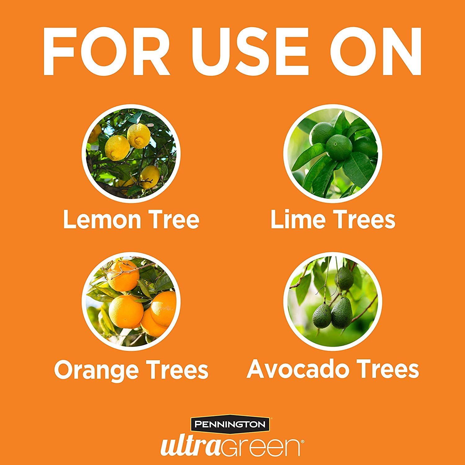 Pennington Ultragreen Citrus & Avocado Plant Food, 10-5-5 Fertilizer 5lb
