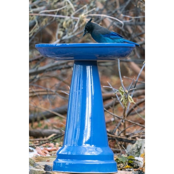 Birds Choice Ohio Stoneware Weather Resistant Ceramic Clay Pedestal Bird Bath, 22"H x 17"D, Summer Blue