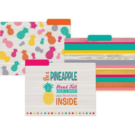 UPC: 0194629102518 | Teacher Created Resources Tropical Punch File Folders 3-Tab 11.75  x 9.5  Assorted Colors TCR8538-2