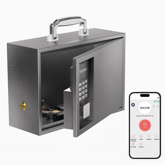 WeHere Coffre-Fort Portable avec Serrure à Clavier, Petit Coffre de Dépôt pour le Rangement à la Maison, Ignifuge et Imperméable, Sac pour Documents, Argent, Médicaments, Piles, 0,3 Pied Cube, 12,6 X 8,6 X 4,7 Po