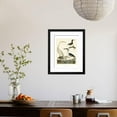 thumbnail image 4 of Heron Family II, Animals Framed Art Print Wall Art by A^ Wilson Sold by Art.Com, 4 of 6
