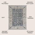 thumbnail image 4 of JONATHAN Y WASHABLE 4 x 6 Area Rug, Brandy Rustic Border - Dark Gray/Cream, WSH321A-4, 4 of 10