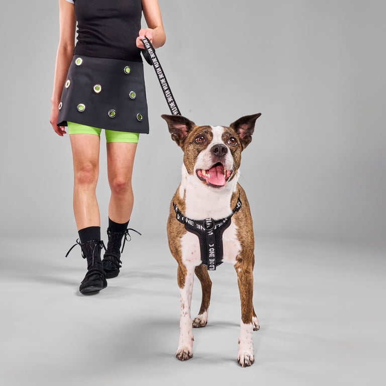 Wild One 6ft Heavy Duty Lightweight Nylon Dog Leash, Black