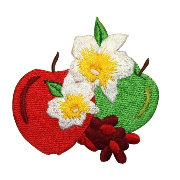 ID 1219X Pair of Apples Patch Flowering Summer Fruit Embroidered Iron On Applique