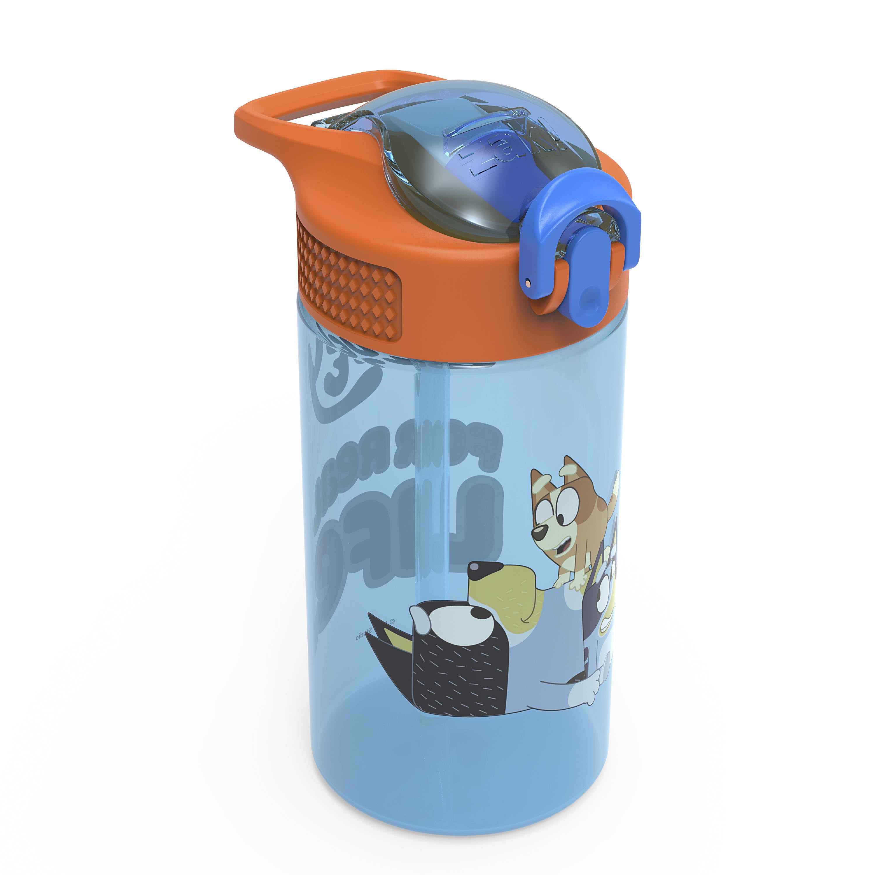 Zak Designs Bluey 16 Fluid Ounces Reusable Leakproof Plastic Water Bottle 