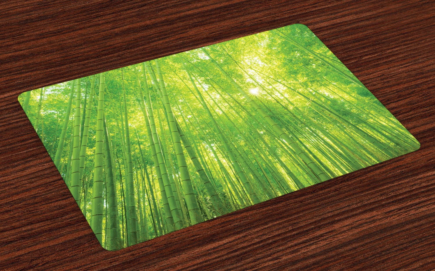 Bamboo Placemats Set of 4 Image of Bamboo Trees with Sun Rays in