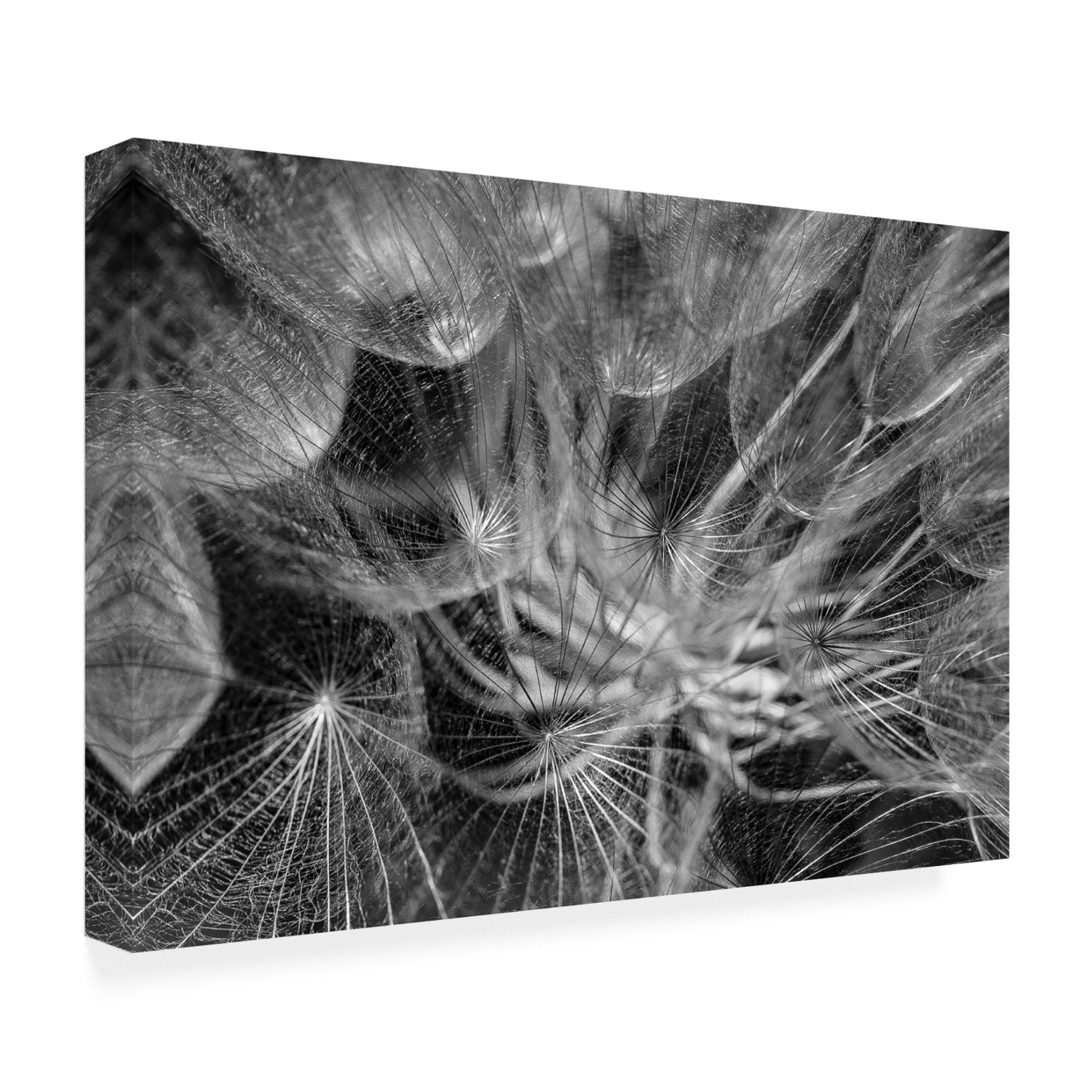 Trademark Fine Art Ilan Amihai  in to the mood Canvas Wall Art