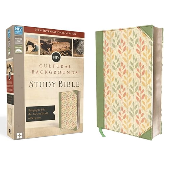 Pre-Owned NIV, Cultural Backgrounds Study Bible, Imitation Leather : Bringing to Life the Ancient World of Scripture (Hardcover)