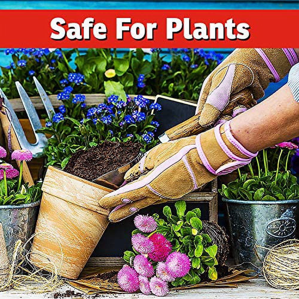 I Must Garden Rabbit Repellent: Mint Scent Rabbit Spray for Plants & Lawns - 1 Gallon Ready to Use Refill