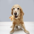 thumbnail image 3 of Hartz Chew 'n Clean Small Tri-Point Small Dog Chew Toy, Chicken Flavored for Moderate Chewers, 2 Pack, 3 of 8