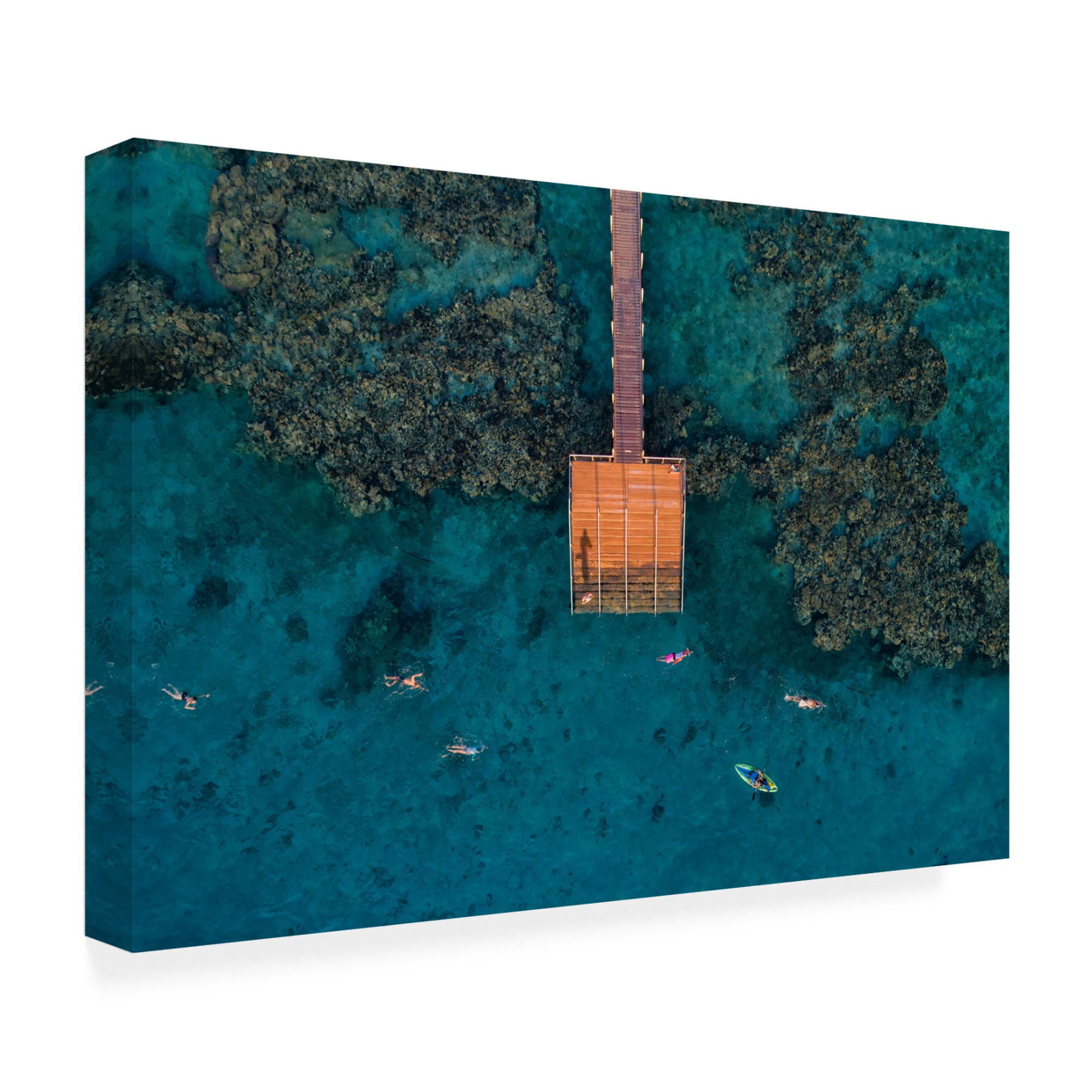 Canvas Wall Art - Ido Meirovich 'Coral Escape' Wall Art for Living Room, Bedroom, or Office Décor by Trademark Fine Art - 47 x 30 Inches