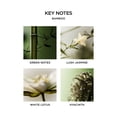 thumbnail image 4 of Candle NEST New York con aroma a bambú, 240 ml, paquete de 2, 4 of 6