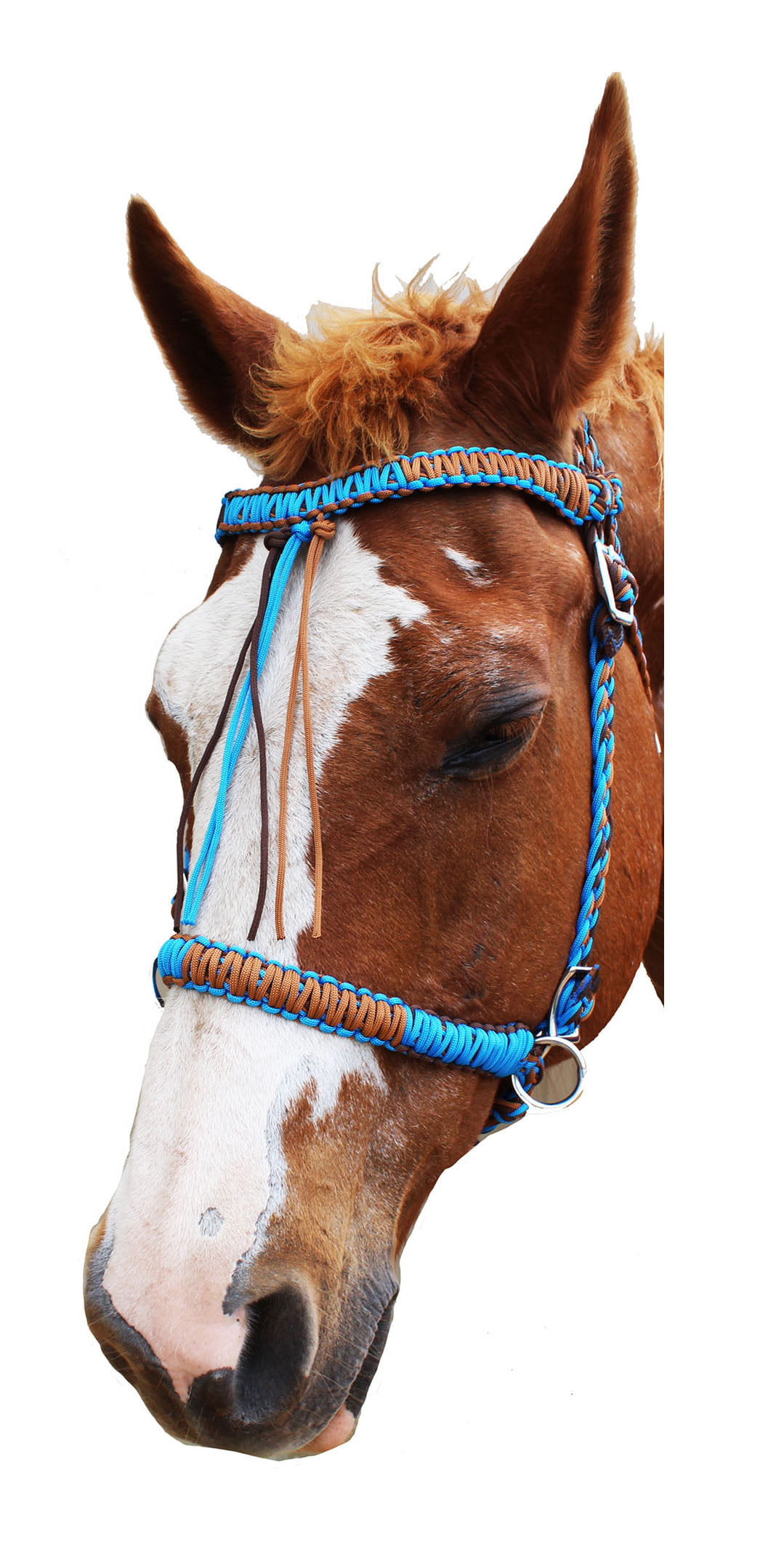 3/8In X 35Ft Classic Rope Western Tack Horse Money Maker X Soft Rope –  Hilason Saddles and Tack