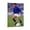 Frame-style, variant on Roberto Baggio Italy Athletes Poster Wall Art Poster Scroll Canvas Painting Picture Living Room Decor Home 12x18inch(30x45cm)