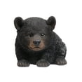 thumbnail image 2 of Baby Black Bear Crawling, 2 of 5