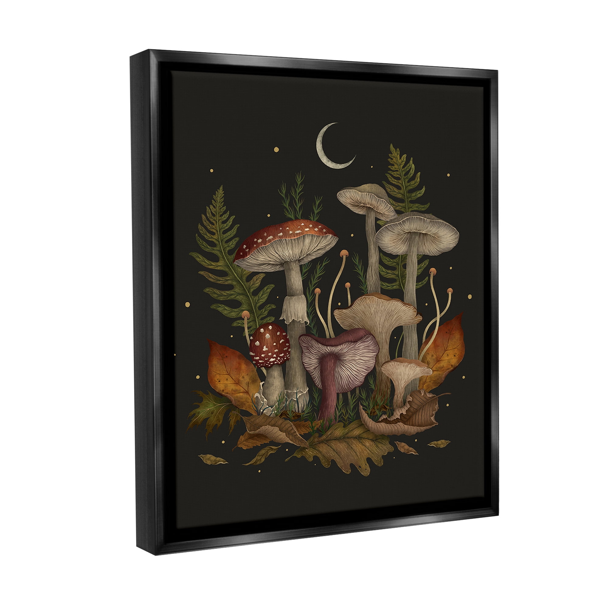 Stupell Industries Dark Mushrooms with Moon Botanical & Floral Painting Black Floater Framed Canvas Art Print Wall Art, 17 x 21