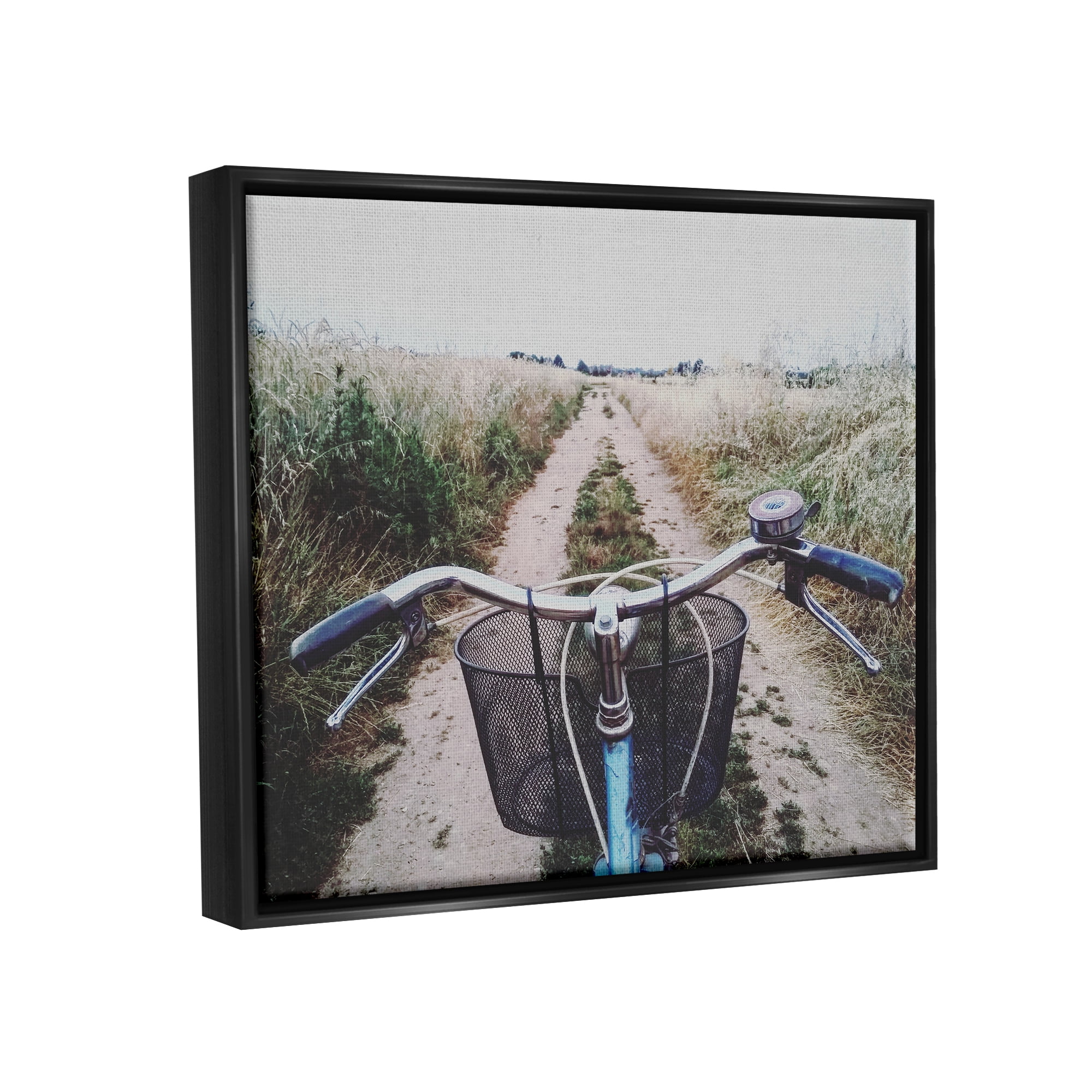 Stupell Industries Bicycle on Rural Path Nature Photography Black Floater Framed Art Print Wall Art, 21 x 17