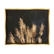 Stupell Industries Dark Wheat Photography Botanical & Floral Photography Gold Floater Framed Canvas Art Print Wall Art, 21 x 17