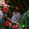 thumbnail image 1 of Pet Fur Ball Bell Doll Burlas Juguetes con Catnip Gato de Navidad Juguete de peluche (Muñeca), 1 of 5