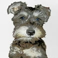 thumbnail image 2 of CafePress - Miniature Schnauzer - Adjustable Unisex Printed Trucker Hat with Mesh Back, 2 of 10