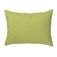 thumbnail image 2 of Cactus in Pot Indoor/Outdoor Pillow 16x20 Medium, 2 of 2