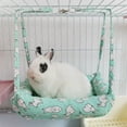 Ultimate Luxurious Cozy Bunny House Pampering Furry Friends with